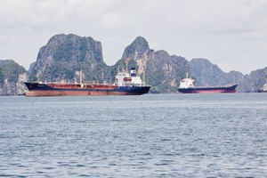 Vosco Sunrise, từ kỳ vọng đến ám ảnh